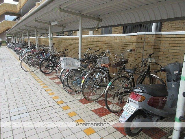 マルイカトレアのその他写真