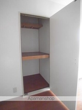 緑山ハイツＡ[3DK/52.39m2]の収納