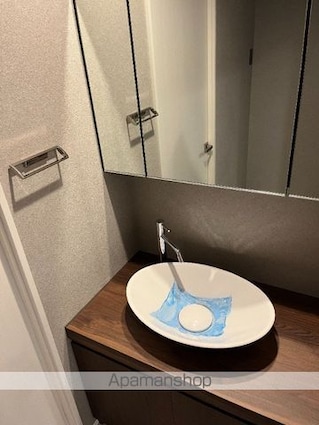 レジディア文京音羽[2LDK/54.29m2]の洗面所