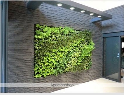 ＺＯＯＭ椎名町駅前[2DK/45.31m2]のエントランス1