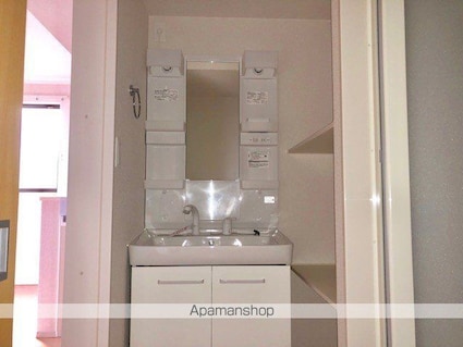 千葉県八千代市米本[2LDK/55.1m2]の洗面所