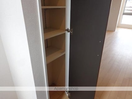 Ｌａ　Ｒｅｃｏｌｔｅ　（ラ　レコルト）[2LDK/53.9m2]の収納2