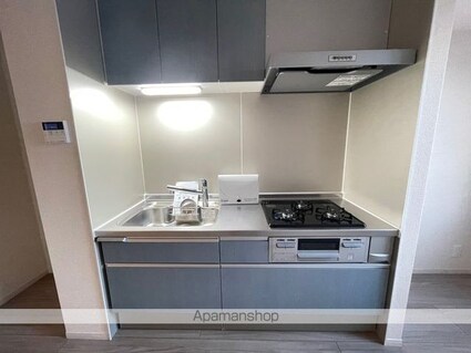 Ｐｏｌｙｋａｔｏｉｋｉａ　Ｎ（ポリカテイキアエヌ）[1LDK/33.45m2]のキッチン