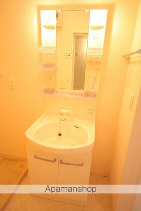 シーゲート八王子[1R/32.29m2]の洗面所