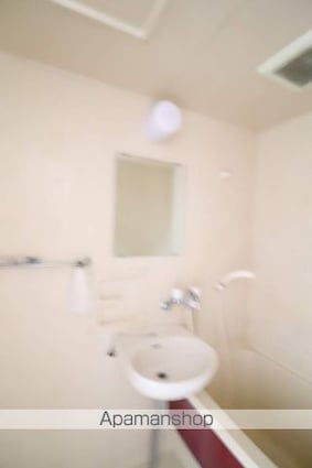 アドバンス拝島[1K/20.88m2]の洗面所