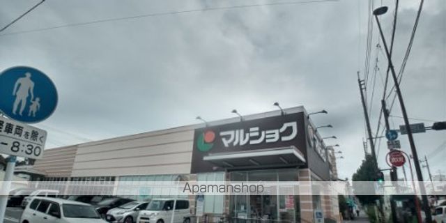 レオネクスト新生IIの周辺写真