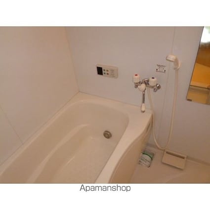 メゾン・アリスト[1LDK/46m2]のその他内装4