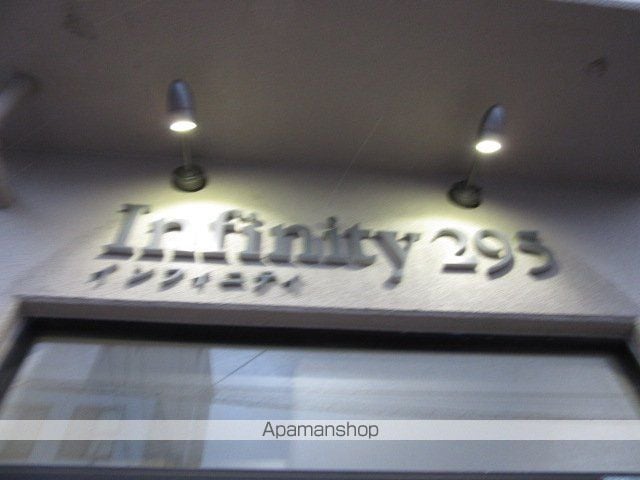 インフィニティ295のその他写真
