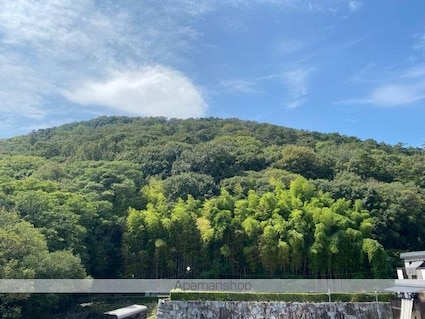 ガーデンハウス[1K/22.73m2]の内装3