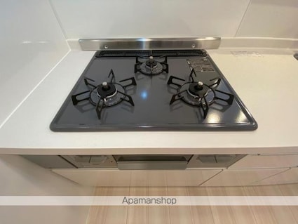 ユーフォリア　Ｃ棟[2LDK/53.77m2]の内装3