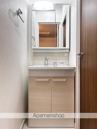 東京都板橋区大山金井町[1DK/27.29m2]の洗面所