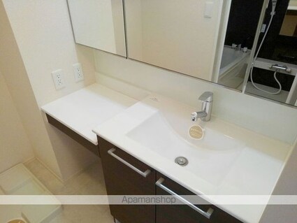 ブラウニーテラス[1R/32.8m2]の洗面所