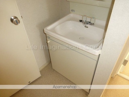 滋賀県近江八幡市鷹飼町[2DK/44.71m2]の洗面所