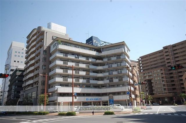 ブレーンハイム柴山の外観写真