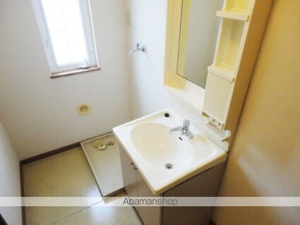 ドリームハイツⅢ[2LDK/60.19m2]の洗面所