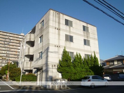 滋賀県近江八幡市中村町[1DK/33m2]の外観3