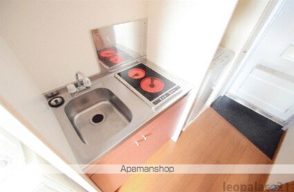 レオパレスラ　プランタン　Ⅱ[1K/19.87m2]のキッチン