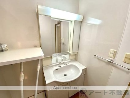 レベウェル三愛[3LDK/75.98m2]の洗面所