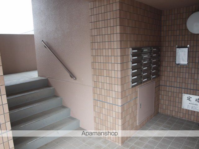 ロンサールのその他写真