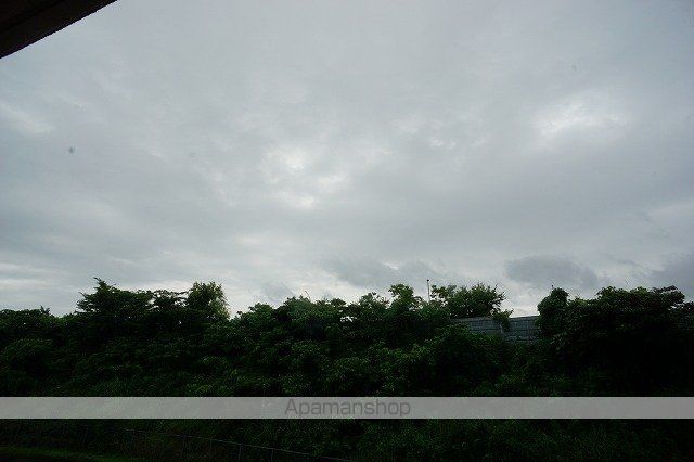 SELENOIIのその他写真