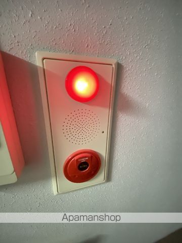 RTIIのその他写真