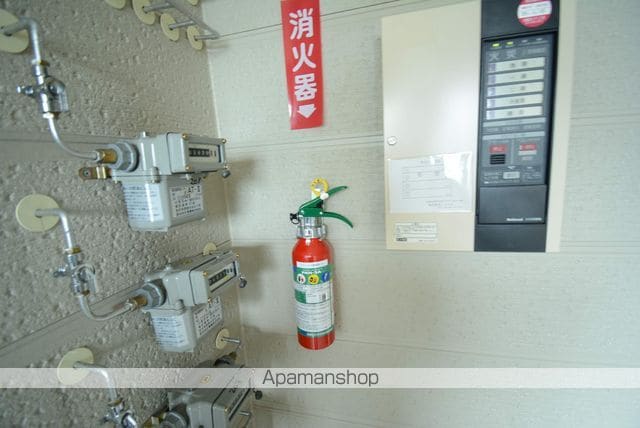 エリートのその他写真