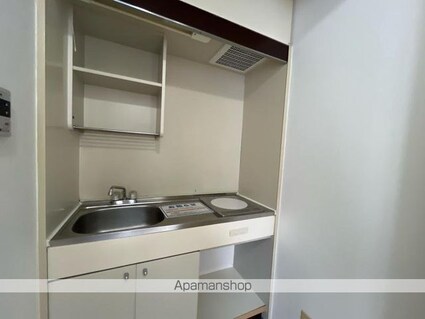 ガーデンハウス[1K/17.21m2]のキッチン