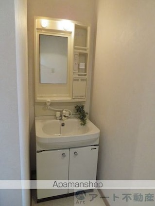 ブラウンハイム土居田[1K/24.8m2]の洗面所