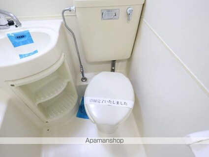 ラ・レジダンス・ド・ノーブル[1R/16.27m2]のトイレ