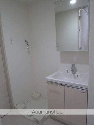 マキシヴ東向島フュージョナル[1K/25.41m2]の洗面所