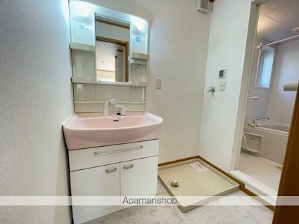 カルムＢ棟[1LDK/45.99m2]の洗面所