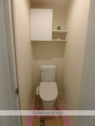 Ｌａ　Ｐａｉｘ　Ｓｋｙｔｒｅｅ　ラペスカイツリー[1LDK/43.78m2]のトイレ