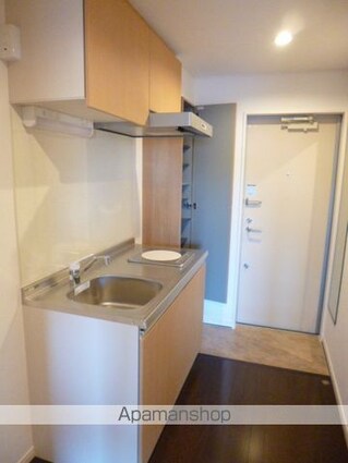 ルクール氷川台[1K/20.47m2]の玄関