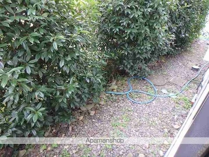 コートブランシェ[3DK/66.24m2]の庭