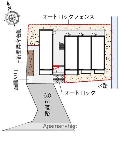 ミランダパキラのその他写真