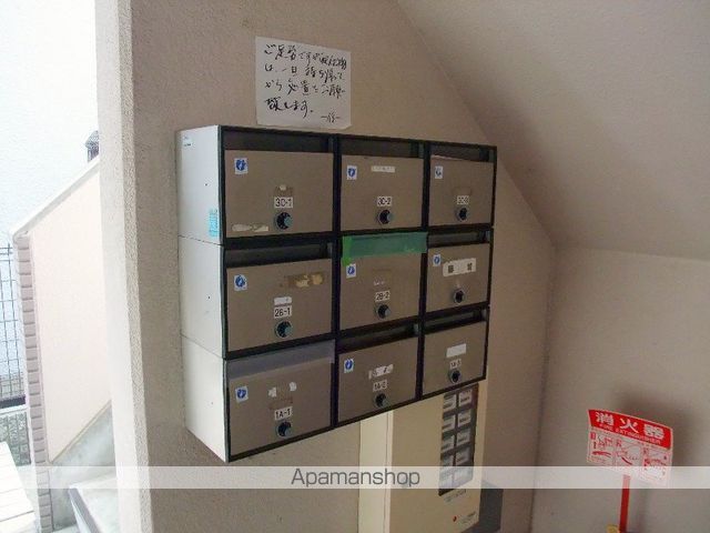 北夙川ナインズのその他写真