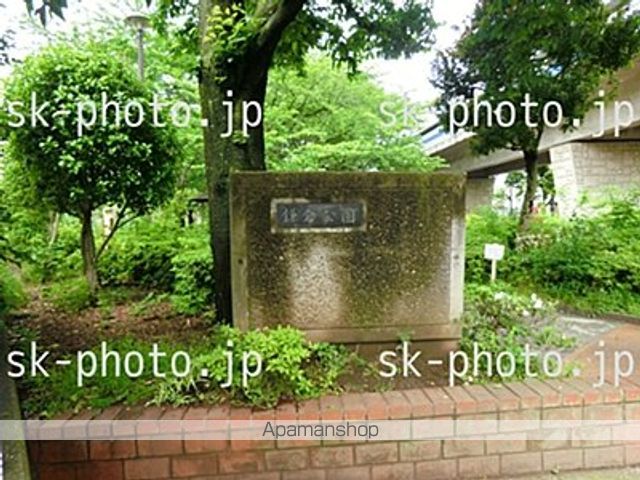 ミランダファレノの周辺写真