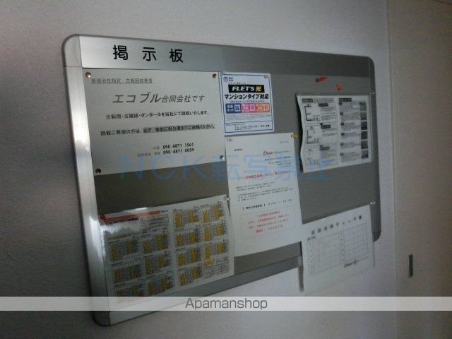 アポロンのその他写真