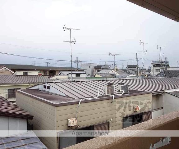 サンフラワーのその他写真
