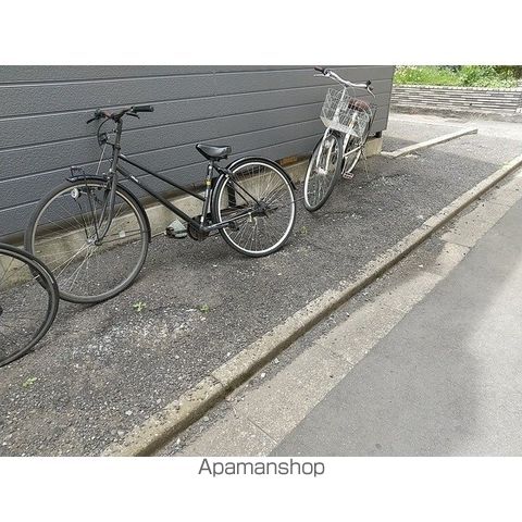 オリーブのその他写真