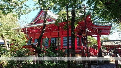 ＰＡＭ井の頭[1R/13.2m2]の周辺2
