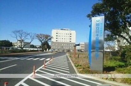 ハイグレイス５番館[1LDK/44.7m2]の周辺5