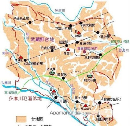 Ｆｅｅｌ二子玉川[1R/28.8m2]の共用部1