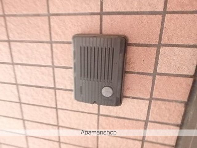 ドルチェのその他写真
