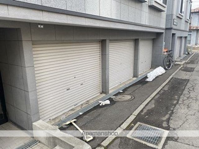 クリサンテームのその他写真