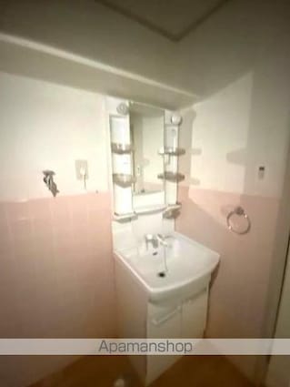 めぞん寺井[2LDK/50.51m2]の洗面所