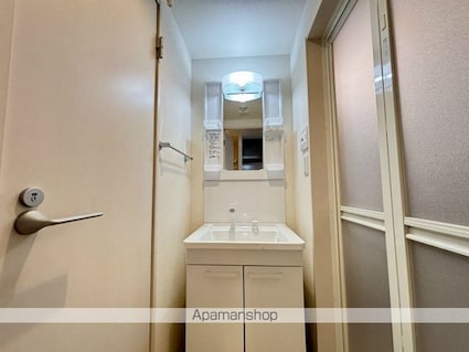 マリウスヒル仙台１[1K/26.08m2]の洗面所