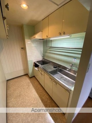 藤塚コーポラス　５０１号[2LDK/43.03m2]のキッチン