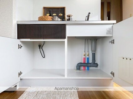 ライオンズマンション東長崎第参[1R/24.57m2]のキッチン3