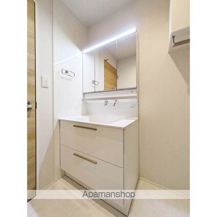Ｌ’ｓ　ｒｅｓｉｄｅｎｃｅ東中野[2LDK/60.98m2]の洗面所